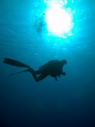 Diver in the blue with sun burst taken at Shark Reef with... by Nikki Van Veelen 